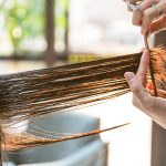 Spring 2026 Hair Trends: The Season of Soft Luxury
